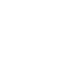 Authentication-Icon