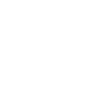 Customizable-Icon
