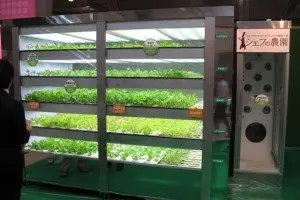 Huffington Post Outlines Oddest Vending Machines